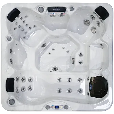 Avalon EC-849L hot tubs for sale in Erie