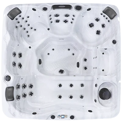 Avalon EC-867L hot tubs for sale in Erie